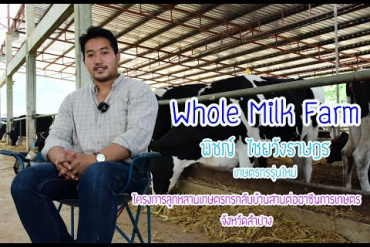 Whole Milk Farm ลูกหลานลำปาง