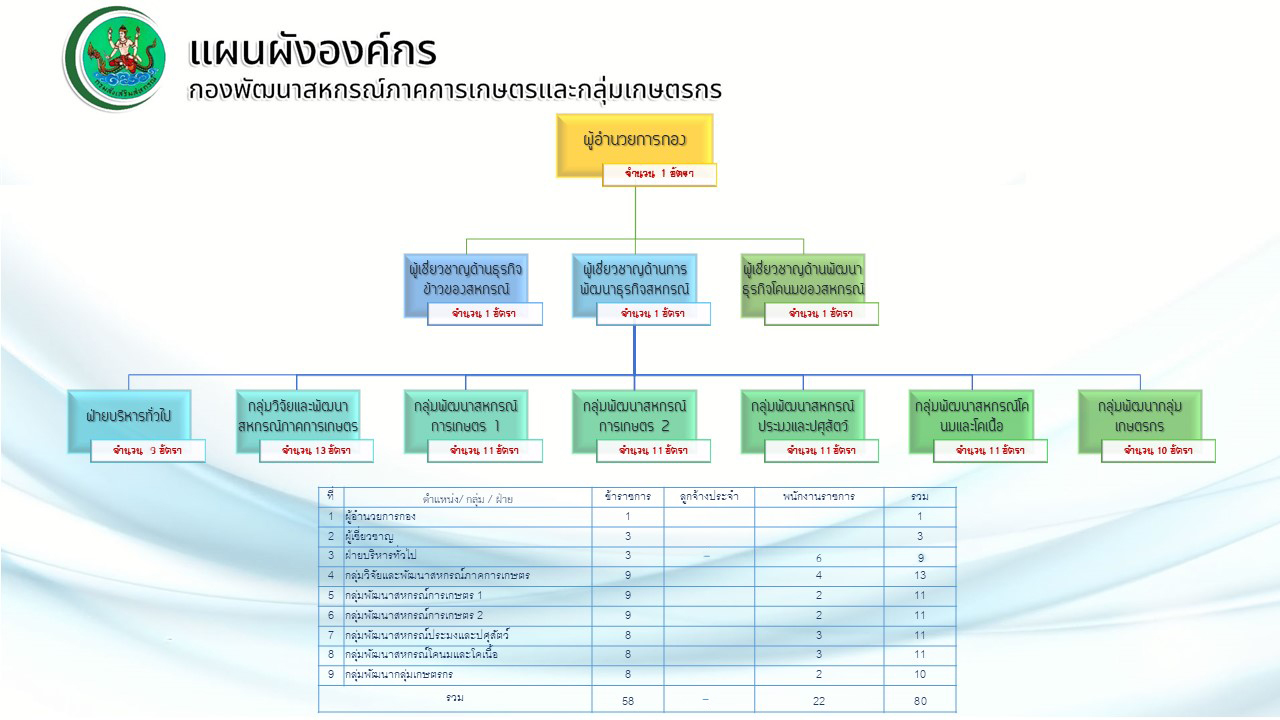 structure2025