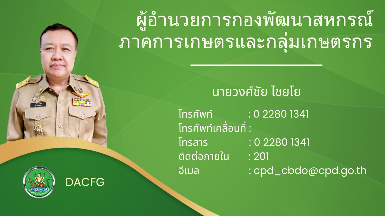 Wongchai Contact v2