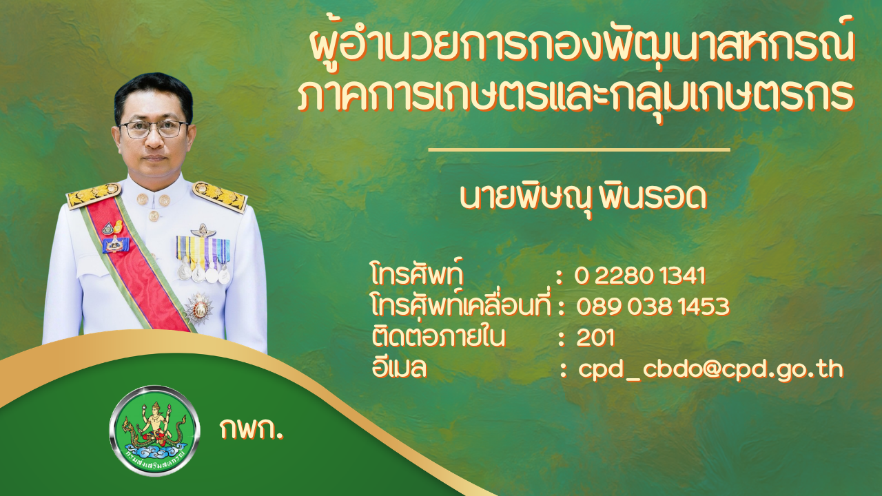 Direct to Director 2