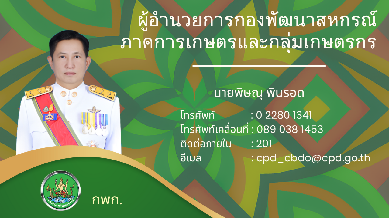 Green and Gold Minimalist