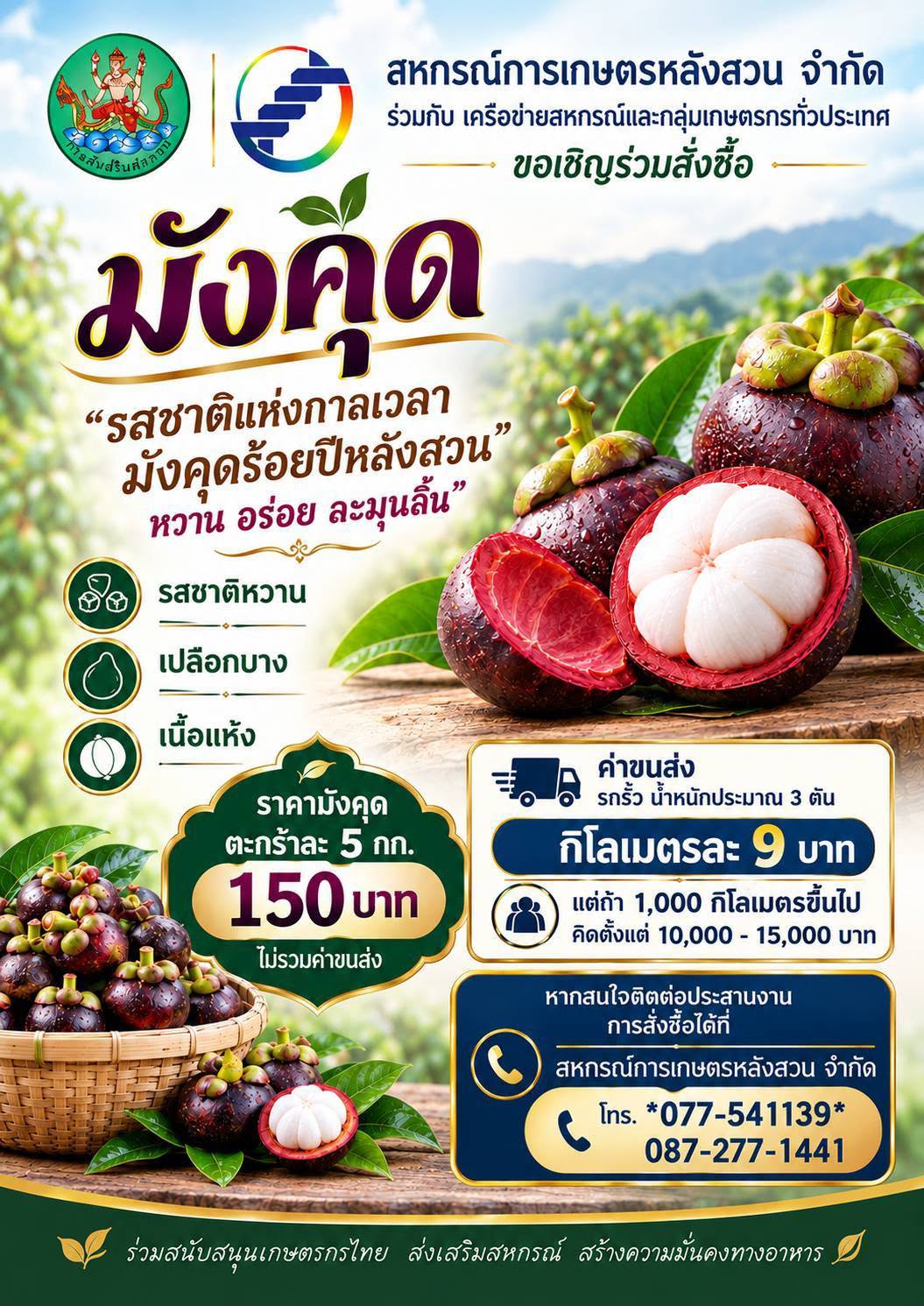 mangosteen