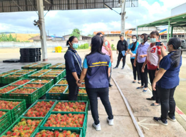 ลงพื้นที่ติดตามโครงการเชื่อมโยงเครือข่ายผลไม้และสถานการณ์การกระจายผลไม้ภาคตะวันออก ... พารามิเตอร์รูปภาพ 1