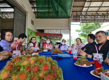 ลงพื้นที่ติดตามโครงการเชื่อมโยงเครือข่ายผลไม้และสถานการณ์การกระจายผลไม้ภาคตะวันออก ... พารามิเตอร์รูปภาพ 3