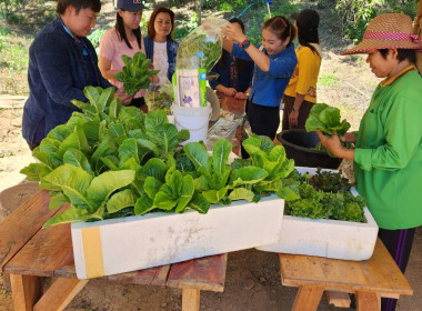 ติดตามโครงการส่งเสริมและพัฒนาสถาบันเกษตรกรและโครงการลูกหลานเกษตรกรกลับบ้านสานต่ออาชีพการเกษตร ... พารามิเตอร์รูปภาพ 3