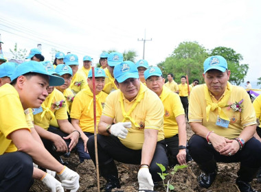 “กระทรวงเกษตรรวมใจปลูกหม่อน น้อมถวาย 46 พรรษา ... พารามิเตอร์รูปภาพ 1