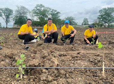 “กระทรวงเกษตรรวมใจปลูกหม่อน น้อมถวาย 46 พรรษา ... พารามิเตอร์รูปภาพ 9