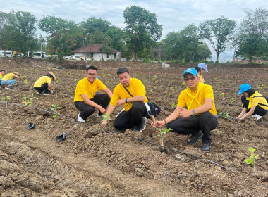 “กระทรวงเกษตรรวมใจปลูกหม่อน น้อมถวาย 46 พรรษา ... พารามิเตอร์รูปภาพ 8