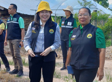 ผู้แทนกรมส่งเสริมสหกรณ์เข้าร่วมประชุมหารือแนวทางการส่งเสริมการปลูกกล้วยหอมทองคุณภาพเพื่อการส่งออก ... พารามิเตอร์รูปภาพ 6