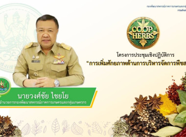 โครงการประชุมเชิงปฏิบัติการ ... พารามิเตอร์รูปภาพ 2