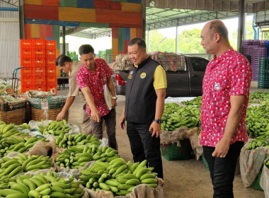 ตรวจเยี่ยมและติดตามโครงการในกำกับของกองพัฒนาสหกรณ์ภาคการเกษตรและกลุ่มเกษตรกร ... พารามิเตอร์รูปภาพ 14