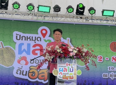 กิจกรรมส่งเสริมตลาดผู้บริโภคผลไม้ไทย ... พารามิเตอร์รูปภาพ 1