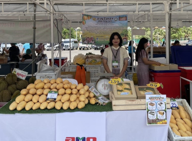 กิจกรรมส่งเสริมตลาดผู้บริโภคผลไม้ไทย ... พารามิเตอร์รูปภาพ 5