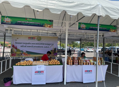 กิจกรรมส่งเสริมตลาดผู้บริโภคผลไม้ไทย ... พารามิเตอร์รูปภาพ 6