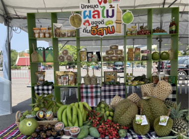 กิจกรรมส่งเสริมตลาดผู้บริโภคผลไม้ไทย ... พารามิเตอร์รูปภาพ 7