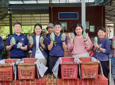 ลงพื้นที่ติดตามและเยี่ยมชมโครงการระบบส่งเสริมเกษตรแบบแปลงใหญ่ในพื้นที่จังหวัดกาฬสินธุ์ ... พารามิเตอร์รูปภาพ 13