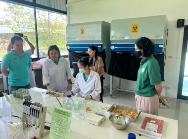ศึกษาดูงานการดำเนินงานโครงการพัฒนาศักยภาพการผลิตเมล็ดพันธุ์ถั่วเขียวคุณภาพดีสู่ตลาดเชิงพาณิชย์ ... พารามิเตอร์รูปภาพ 1