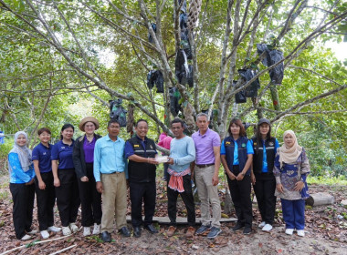 ลงพื้นที่ติดตามการดำเนินงานโครงการส่งเสริมและพัฒนาสินค้าเกษตรอัตลักษณ์พื้นถิ่น ณ กลุ่มผู้ปลูกจำปาดะ ... พารามิเตอร์รูปภาพ 11
