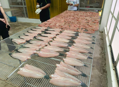 ติดตามการดำเนินงานโครงการพัฒนาผลิตภัณฑ์ชุมชน ... พารามิเตอร์รูปภาพ 5