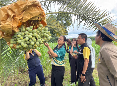 ลงพื้นที่จังหวัดเลย ... พารามิเตอร์รูปภาพ 25