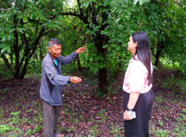 ลงพื้นที่ติดตามการดำเนินงานโครงการระบบส่งเสริมการเกษตรแบบแปลงใหญ่ สหกรณ์การเกษตรโนนสูง จ.สกลนคร ... พารามิเตอร์รูปภาพ 5