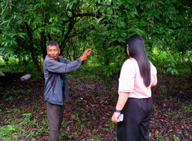 ลงพื้นที่ติดตามการดำเนินงานโครงการระบบส่งเสริมการเกษตรแบบแปลงใหญ่ สหกรณ์การเกษตรโนนสูง จ.สกลนคร ... พารามิเตอร์รูปภาพ 6