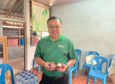 ผอ.กพก. ... พารามิเตอร์รูปภาพ 9