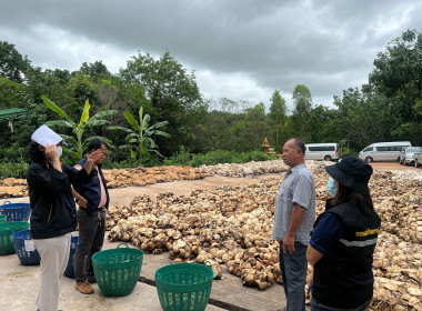 ติดตามการดำเนินงานโครงการระบบส่งเสริมเกษตรแบบแปลงใหญ่ ... พารามิเตอร์รูปภาพ 2