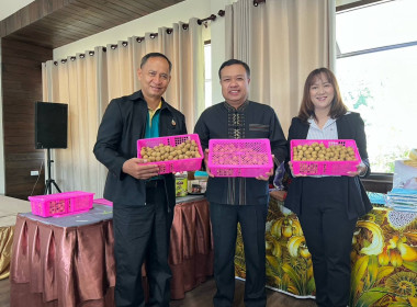 โครงการประชุมเชิงปฏิบัติการ ... พารามิเตอร์รูปภาพ 6
