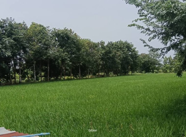 ลงพื้นที่ติดตามการดำเนินงานของสหกรณ์การเกษตรศุภนิมิตเมืองพล ... พารามิเตอร์รูปภาพ 2