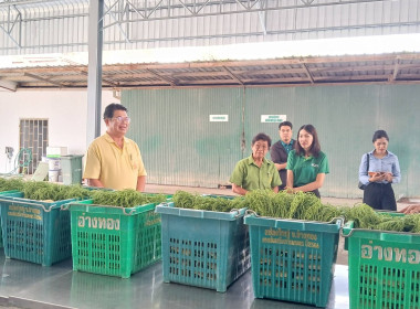 ติดตามการดำเนินโครงการยกระดับสถาบันเกษตรกรให้เป็นผู้ประกอบการธุรกิจเกษตร ณ สหกรณ์การเกษตรโพธิ์ทอง จำกัด และสหกรณ์การเกษตรไชโย จำกัด จังหวัดอ่างทอง เพื่อติดตามการใช้ประโยชน์จากอุปกรณ์การตลาด ซึ่งสหกรณ์ทั้ง 2 แห่งได้รับงบประมาณเงินอุดหนุนในการก่อสร้างโดมตล ... พารามิเตอร์รูปภาพ 3