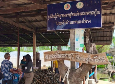 ติดตามผลการดำเนินงานของกลุ่มเกษตรกรทำสวนยางพาราคู้ยายหมี ... พารามิเตอร์รูปภาพ 19