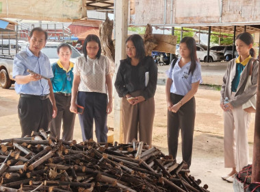 ติดตามผลการดำเนินงานของกลุ่มเกษตรกรทำสวนยางพาราคู้ยายหมี ... พารามิเตอร์รูปภาพ 13