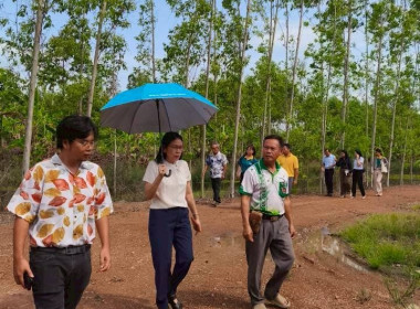 ติดตามผลการดำเนินงานของกลุ่มเกษตรกรทำสวนยางพาราคู้ยายหมี ... พารามิเตอร์รูปภาพ 2