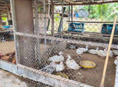 ติดตามผลการดำเนินงานของกลุ่มเกษตรกรทำสวนยางพาราคู้ยายหมี ... พารามิเตอร์รูปภาพ 7