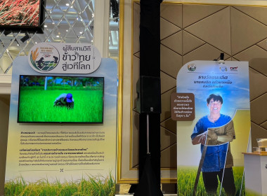 เข้าร่วมงานพิธีมอบรางวัลการประกวดข้าวหอมมะลิของประเทศไทย ... พารามิเตอร์รูปภาพ 10
