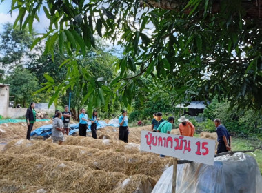 ลงพื้นที่ติดตามผลดำเนินโครงการสร้างมูลค่าเพิ่มจากวัสดุเหลือใช้ทางการเกษตร ปีงบประมาณ พ.ศ. 2568 พื้นที่จังหวัดยโสธรและร้อยเอ็ด ... พารามิเตอร์รูปภาพ 41