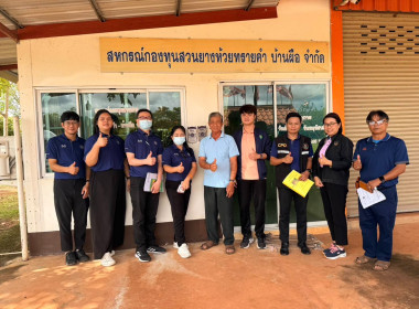 ลงพื้นที่ติดตามการดำเนินงานโครงการเกษตรแบบแปลงใหญ่ ... พารามิเตอร์รูปภาพ 2