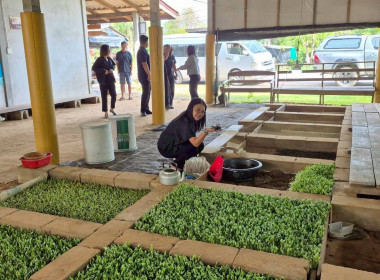 ลงพื้นที่เชิงประจักษ์เพื่อตรวจสอบข้อมูลเพิ่มเติมกลุ่มเกษตรกรที่เข้ารับการคัดเลือกเป็นกลุ่มเกษตรกรดีเด่นแห่งชาติ ณ กลุ่มเกษตรกรทำนาทางเวียน อำเภอแกลง จังหวัดระยอง ... พารามิเตอร์รูปภาพ 8