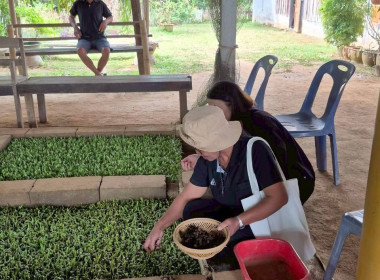 ลงพื้นที่เชิงประจักษ์เพื่อตรวจสอบข้อมูลเพิ่มเติมกลุ่มเกษตรกรที่เข้ารับการคัดเลือกเป็นกลุ่มเกษตรกรดีเด่นแห่งชาติ ณ กลุ่มเกษตรกรทำนาทางเวียน อำเภอแกลง จังหวัดระยอง ... พารามิเตอร์รูปภาพ 9