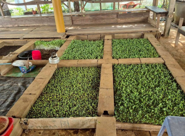 ลงพื้นที่เชิงประจักษ์เพื่อตรวจสอบข้อมูลเพิ่มเติมกลุ่มเกษตรกรที่เข้ารับการคัดเลือกเป็นกลุ่มเกษตรกรดีเด่นแห่งชาติ ณ กลุ่มเกษตรกรทำนาทางเวียน อำเภอแกลง จังหวัดระยอง ... พารามิเตอร์รูปภาพ 10