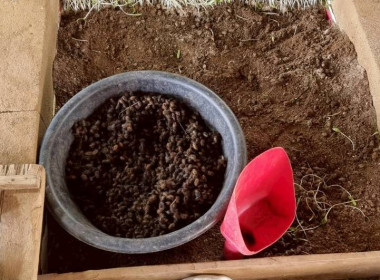 ลงพื้นที่เชิงประจักษ์เพื่อตรวจสอบข้อมูลเพิ่มเติมกลุ่มเกษตรกรที่เข้ารับการคัดเลือกเป็นกลุ่มเกษตรกรดีเด่นแห่งชาติ ณ กลุ่มเกษตรกรทำนาทางเวียน อำเภอแกลง จังหวัดระยอง ... พารามิเตอร์รูปภาพ 11