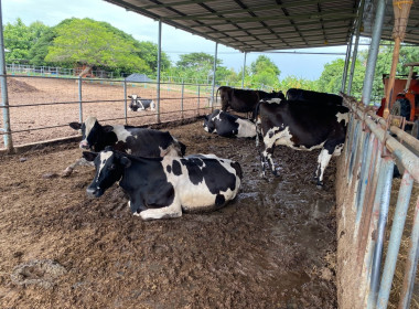 วันที่ 21 - 22 กรกฎาคม 2569 นางนัยนา จุลพันธ์ ... พารามิเตอร์รูปภาพ 19