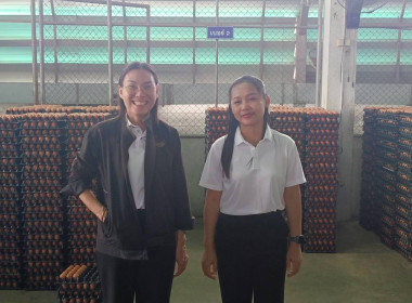 วันที่ 3-4 กันยายน 2569 นางนัยนา จุลพันธ์ ... พารามิเตอร์รูปภาพ 8